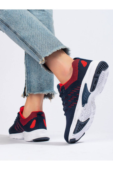 Sieviešu apavi Zilas krāsas DK 2