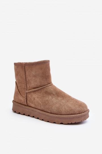 Silti sniega zābaki ar... 2