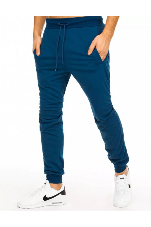 Vīriešu zilas sporta bikses