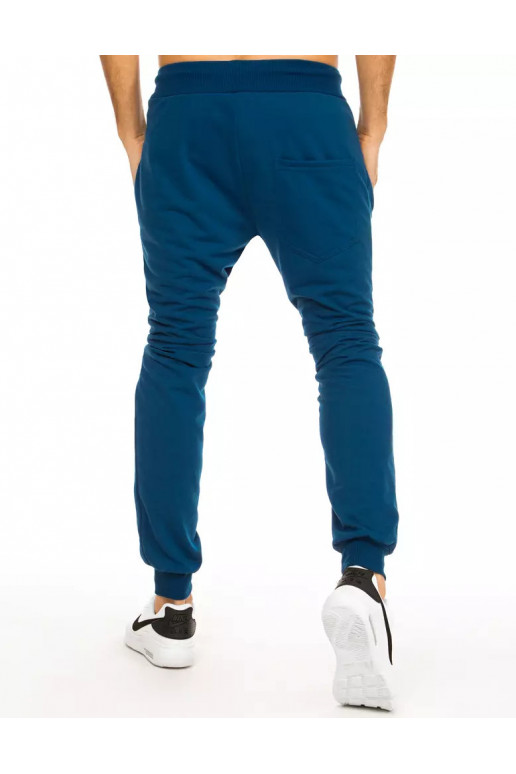 Vīriešu zilas sporta bikses