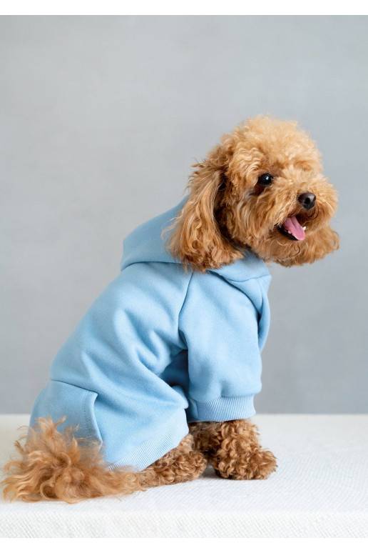 Dog hoodie Baby Blue