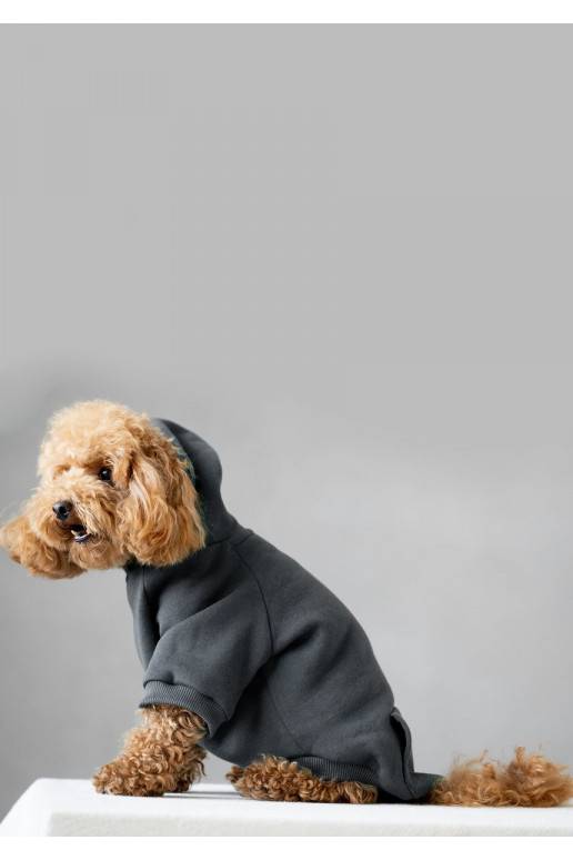 Dog hoodie Dark Stone