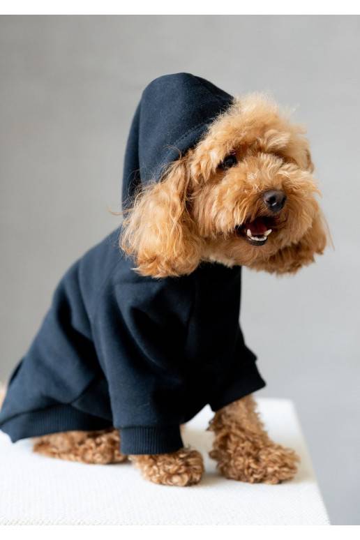 Dog hoodie Black