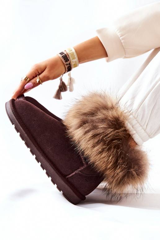     sniega apavi ar kažokādu brūnas krāsas Alexa